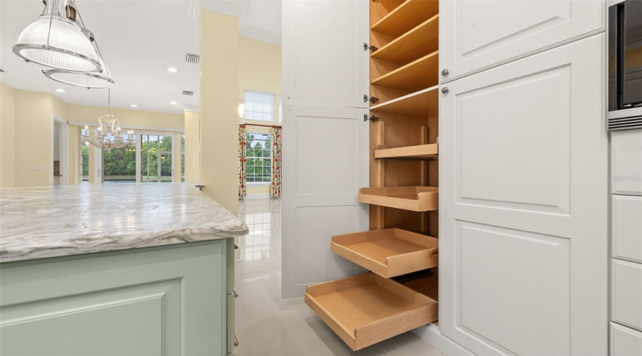 Pull Out Panty Cabinets