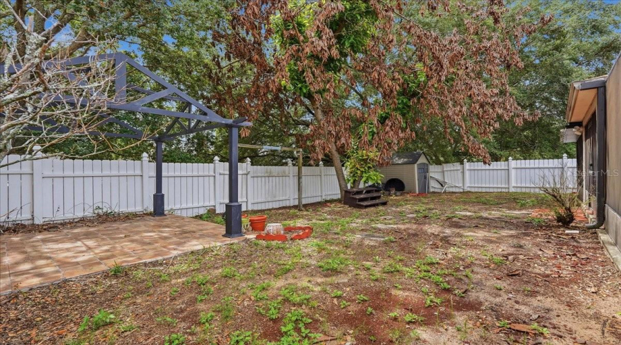 Backyard