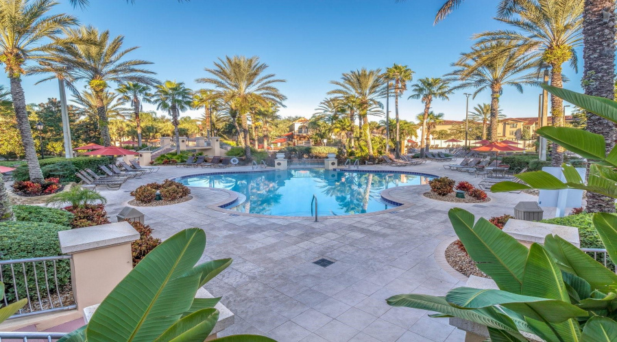 Tranquil waters framed by majestic palm trees in the Regal Palms community.