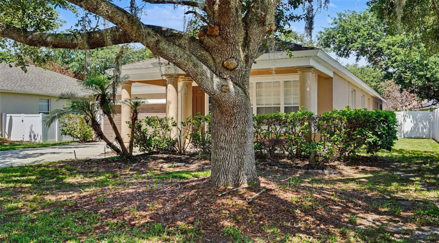 KISSIMMEE, Florida 34746, 3 Bedrooms Bedrooms, ,2 BathroomsBathrooms,Residential,For Sale,GRANGER,0,MFRO6413686