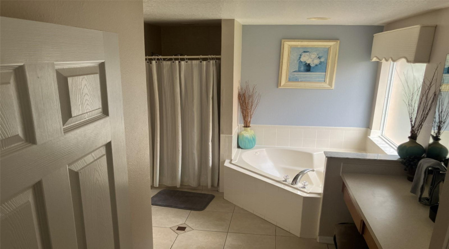 DAVENPORT, Florida 33897, 5 Bedrooms Bedrooms, ,4 BathroomsBathrooms,Residential,For Sale,SOLANA,0,MFRTB8516008