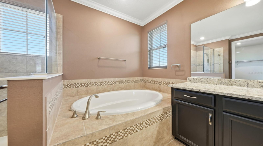 ORLANDO, Florida 32836, 4 Bedrooms Bedrooms, ,4 BathroomsBathrooms,Residential,For Sale,LUDINGTON,0,MFRO6412891