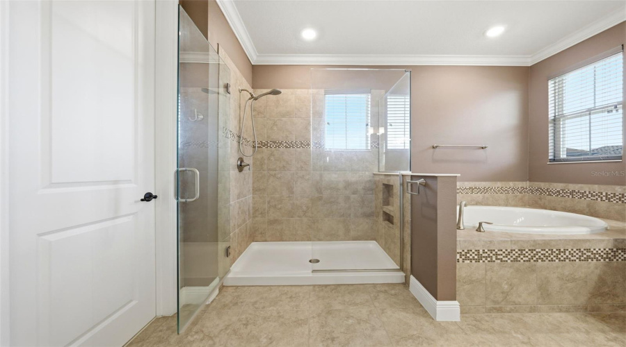 ORLANDO, Florida 32836, 4 Bedrooms Bedrooms, ,4 BathroomsBathrooms,Residential,For Sale,LUDINGTON,0,MFRO6412891