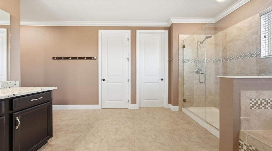 ORLANDO, Florida 32836, 4 Bedrooms Bedrooms, ,4 BathroomsBathrooms,Residential,For Sale,LUDINGTON,0,MFRO6412891