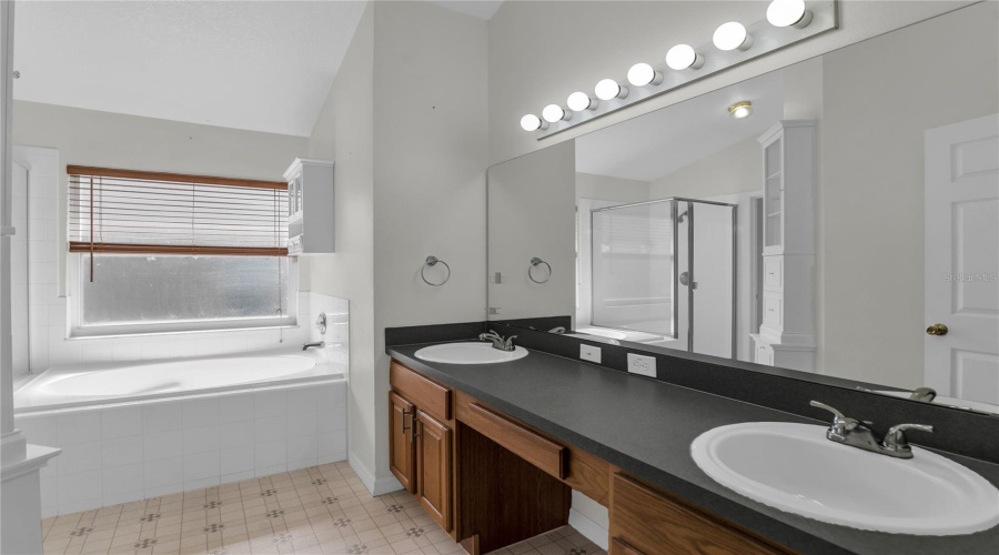 Owner's Bath