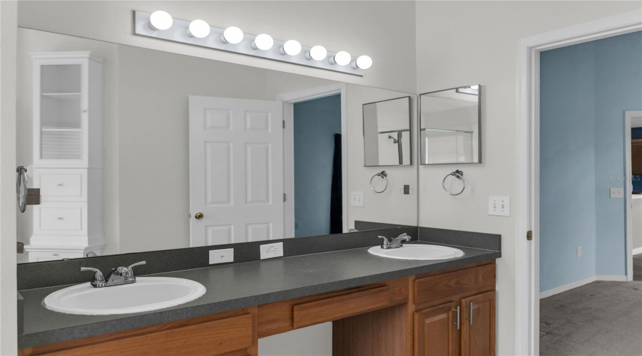 Owner's Bath