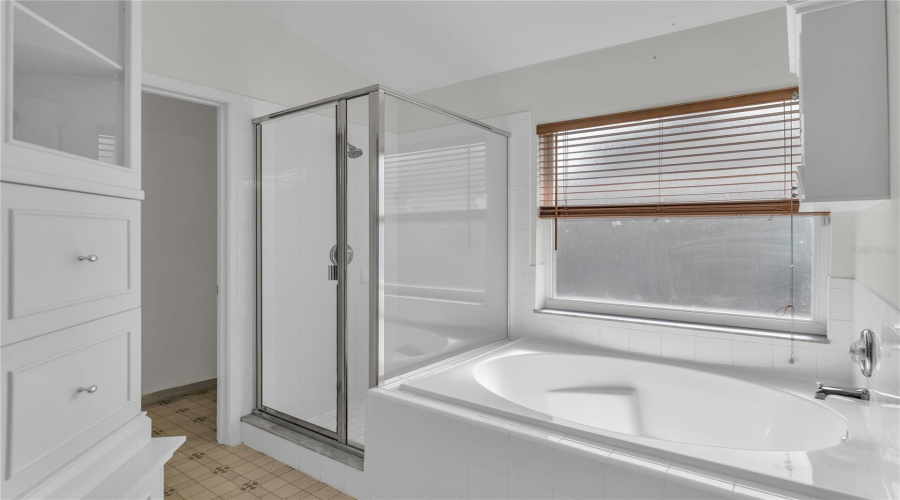 Owner's Bath