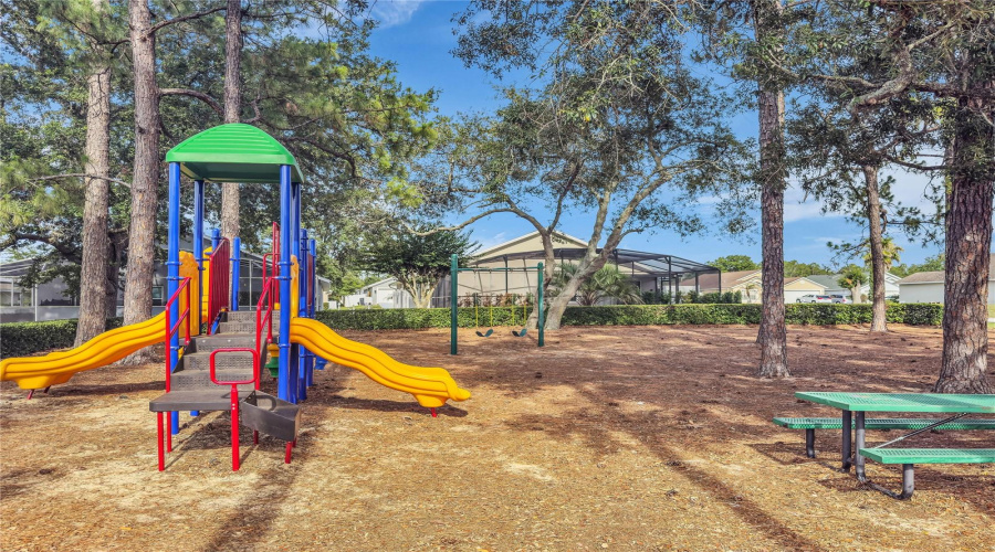 Community Playground