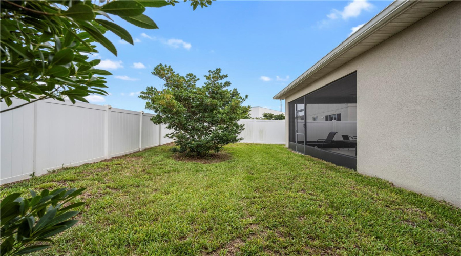 Fenced backyard