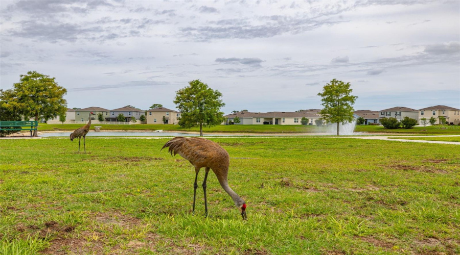 DAVENPORT, Florida 33837, 5 Bedrooms Bedrooms, ,3 BathroomsBathrooms,Residential,For Sale,RED HILL,0,MFRA4696834