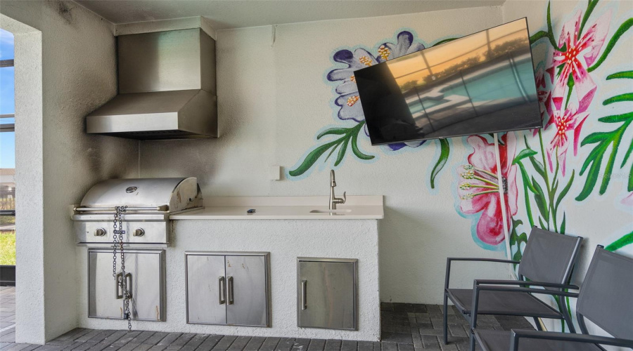 outdoor summer kitchen and television