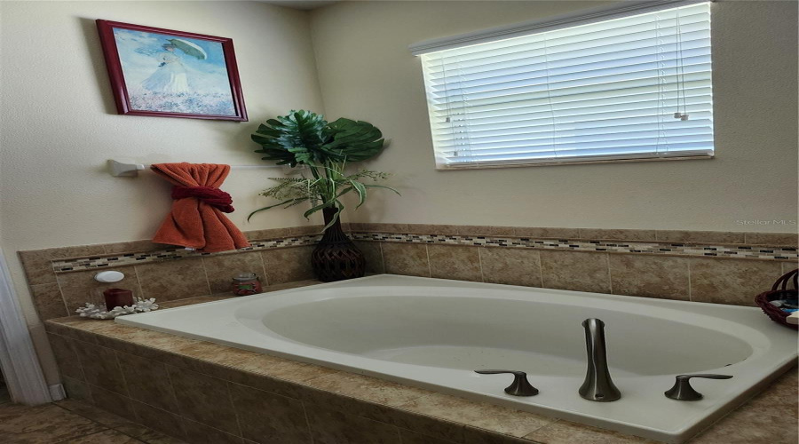 DAVENPORT, Florida 33837, 4 Bedrooms Bedrooms, ,3 BathroomsBathrooms,Residential,For Sale,LAKE SIDE,0,MFRS5149453