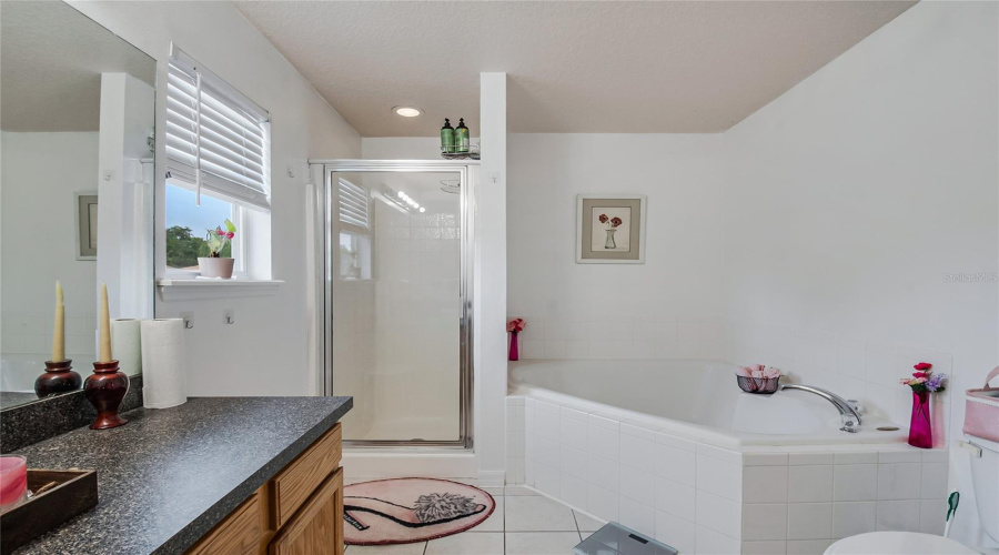 DAVENPORT, Florida 33896, 5 Bedrooms Bedrooms, ,4 BathroomsBathrooms,Residential,For Sale,SANDY RIDGE,0,MFRO6417009
