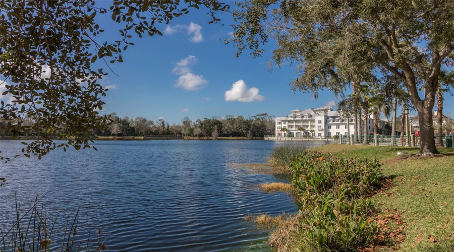 CELEBRATION, Florida 34747, 3 Bedrooms Bedrooms, ,2 BathroomsBathrooms,Residential,For Sale,BANKS ROSE,0,MFRS5151907