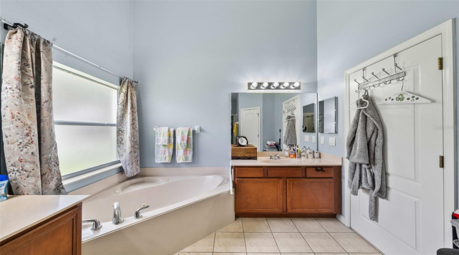 Master Bathroom/Jetted Bathtub