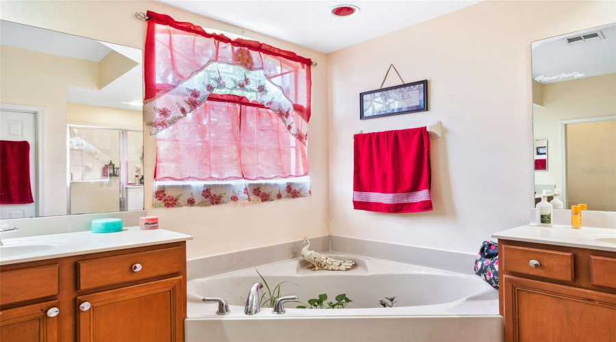 Master Bathroom Garden Tub