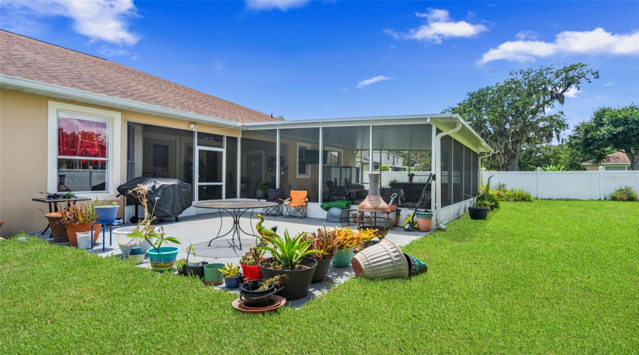 Backyard