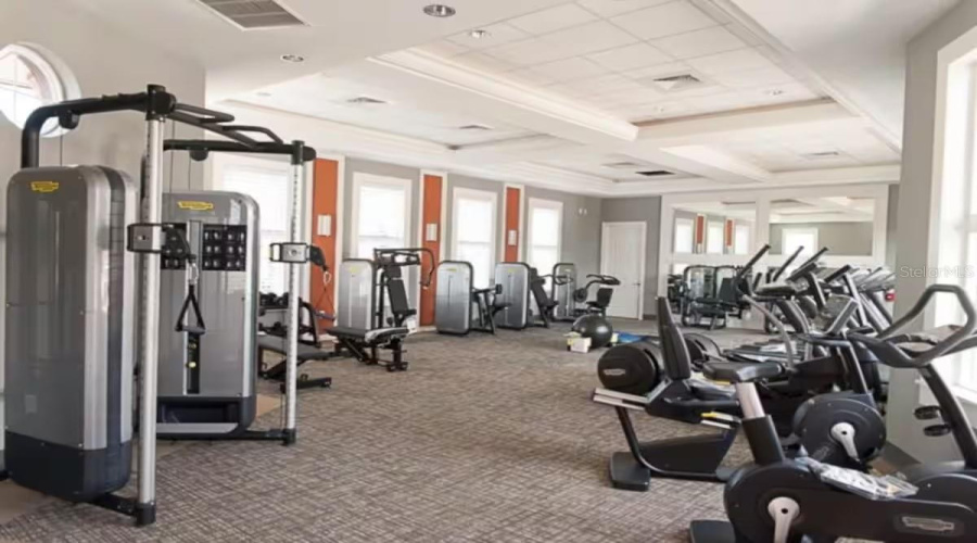 Gym