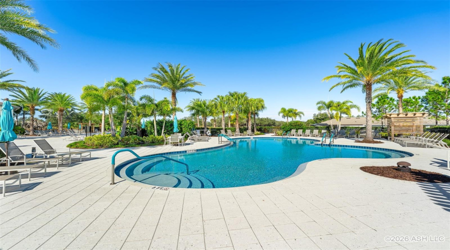 Pool 2