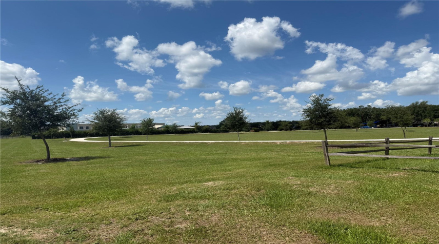 ORLANDO, Florida 32836, 4 Bedrooms Bedrooms, ,2 BathroomsBathrooms,Residential,For Sale,VERRAZANO,0,MFRO6289632