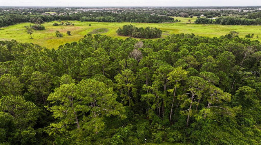 DAVENPORT, Florida 33837, 5 Bedrooms Bedrooms, ,3 BathroomsBathrooms,Residential,For Sale,GRAND RESERVE,0,MFRG5113350