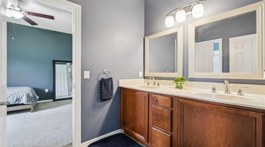 Jack & Jill Bathroom