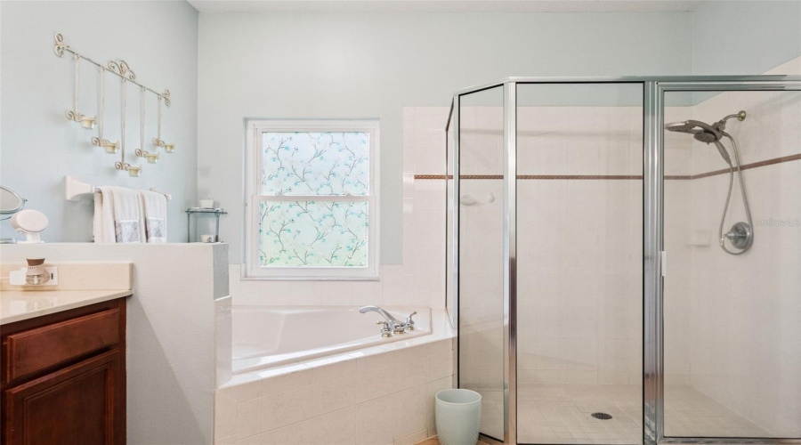 Jacuzzi tub and Stand up Shower