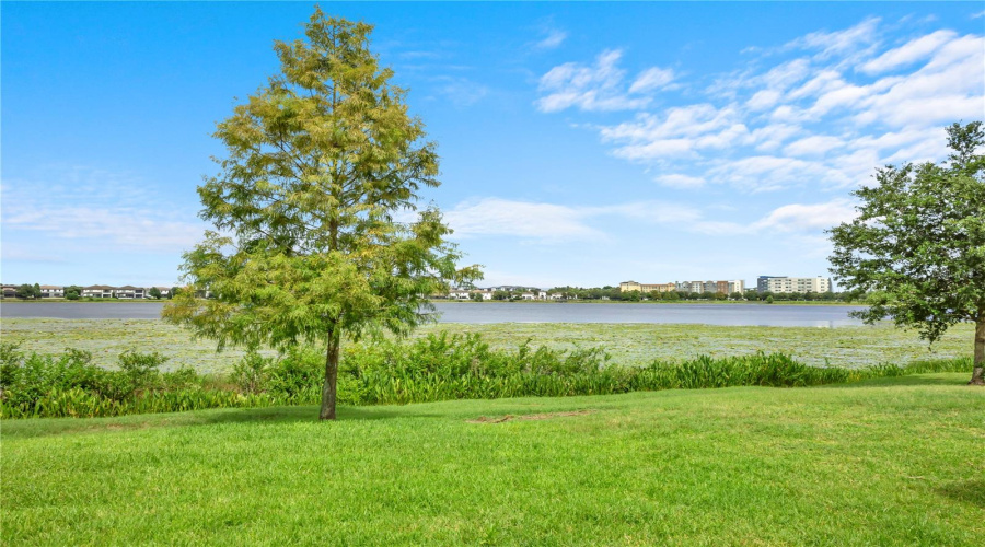 ORLANDO, Florida 32836, 5 Bedrooms Bedrooms, ,4 BathroomsBathrooms,Residential,For Sale,LEMON LAKE,0,MFRO6418930