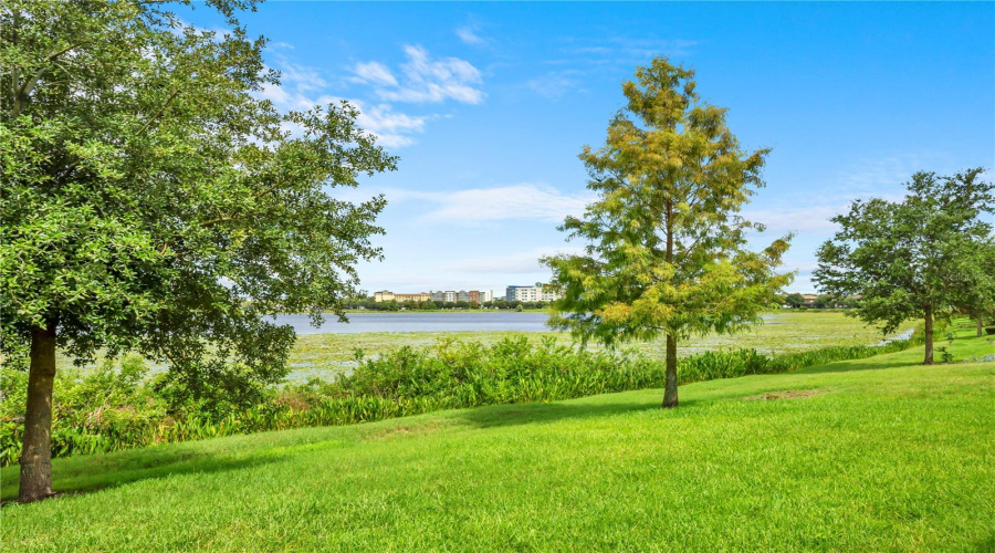 ORLANDO, Florida 32836, 5 Bedrooms Bedrooms, ,4 BathroomsBathrooms,Residential,For Sale,LEMON LAKE,0,MFRO6418930