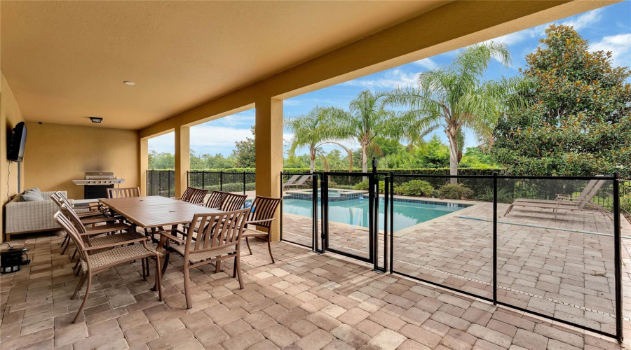 Pool & Patio
