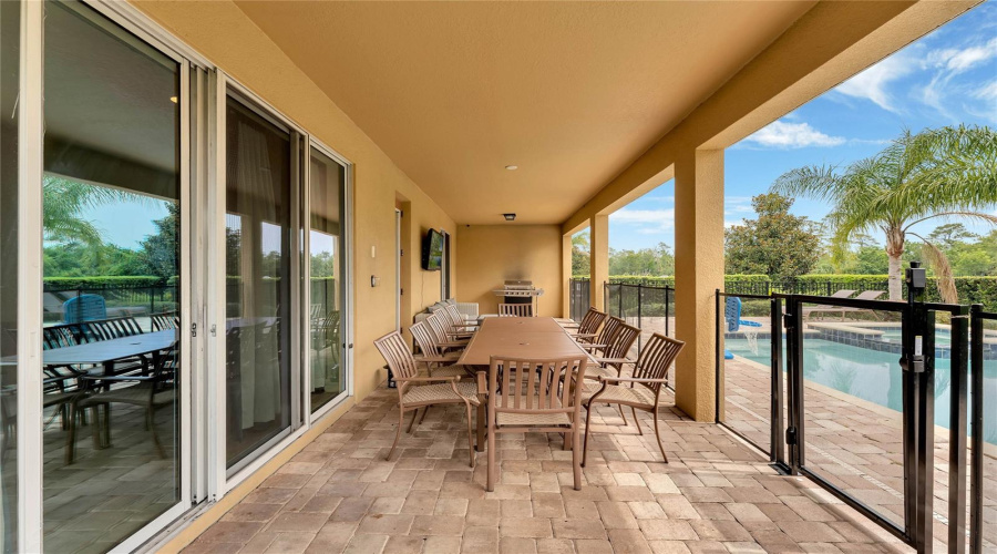 Pool & Patio