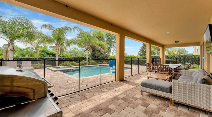 Pool & Patio
