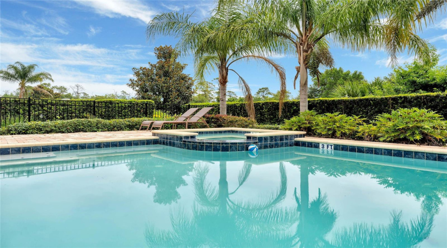 Pool & Spa