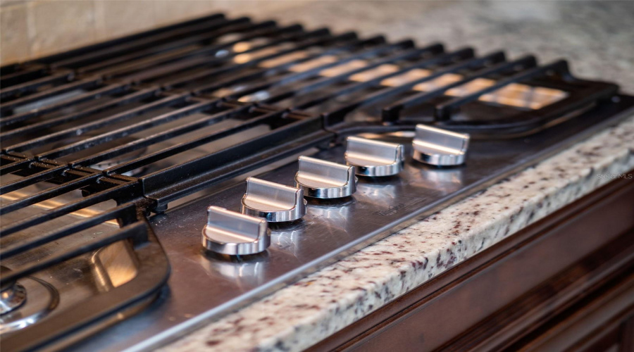 Gourmet Kitchen Stove