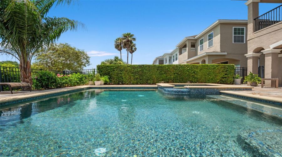 Pool & Spa