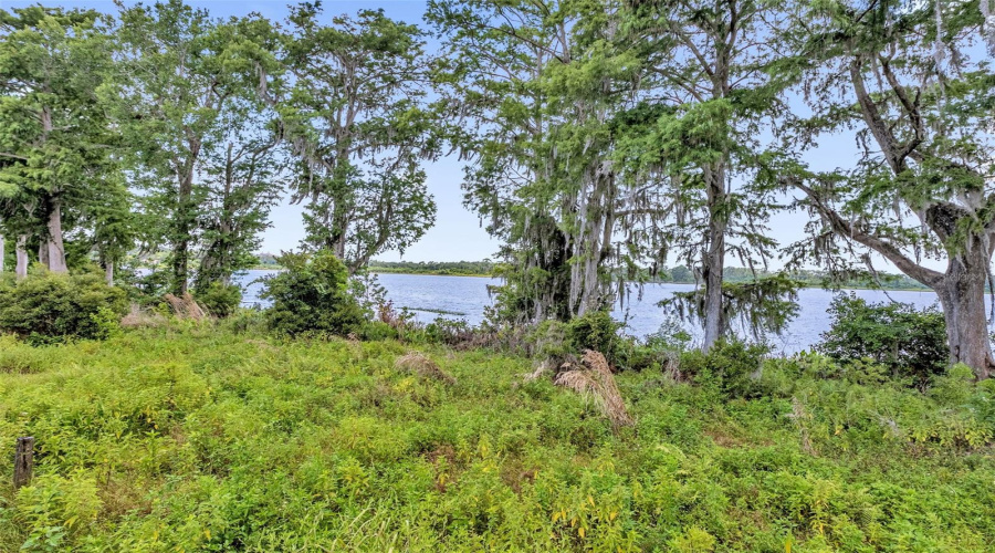 ORLANDO, Florida 32836, 3 Bedrooms Bedrooms, ,2 BathroomsBathrooms,Residential,For Sale,FALLSGROVE,0,MFRO6419584