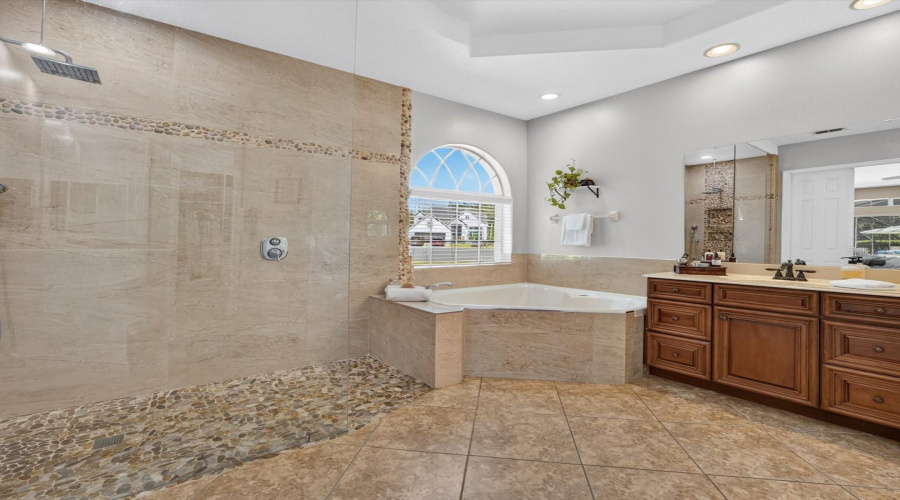 Primary bathroom (downstairs)