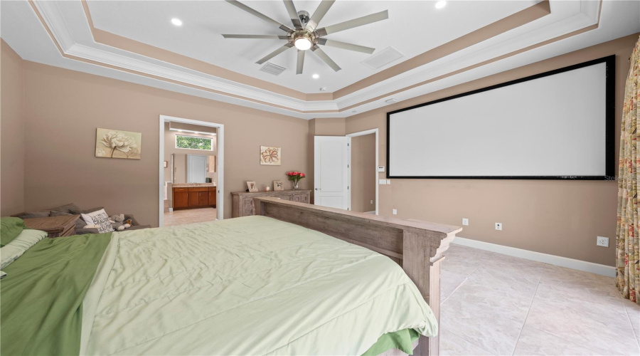 Tv Projector included