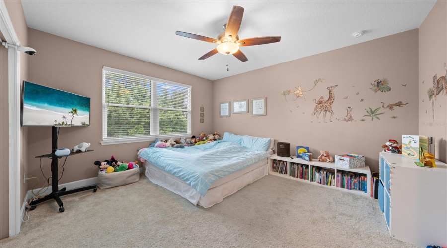 2nd Bedroom