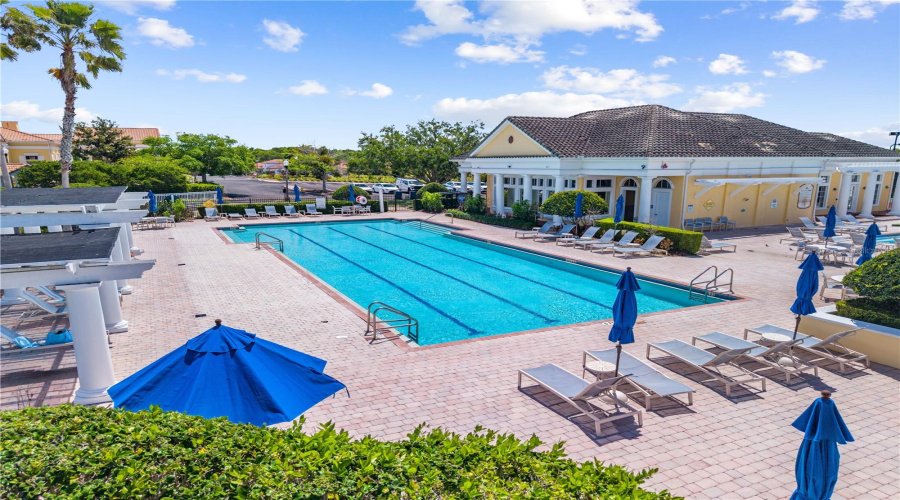 Lap Pool