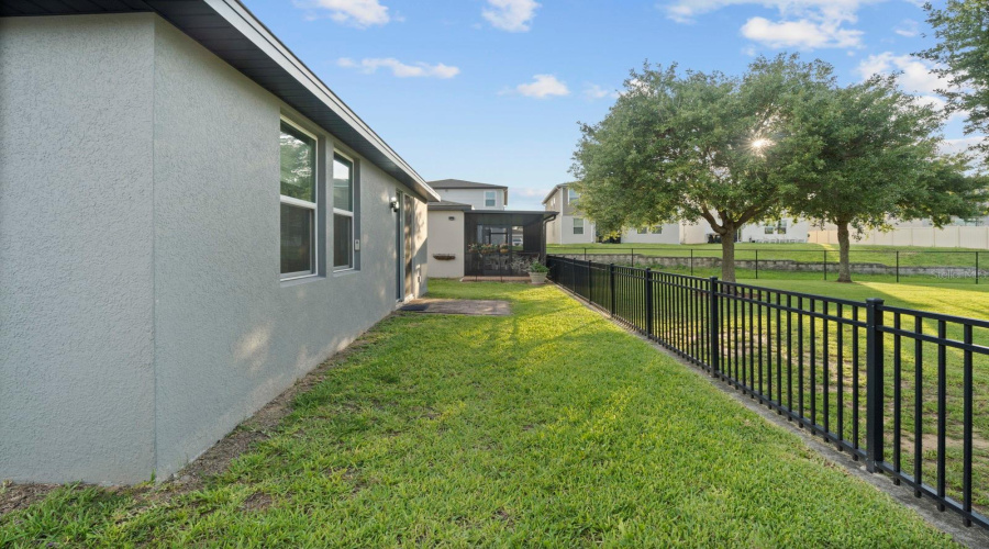 Backyard