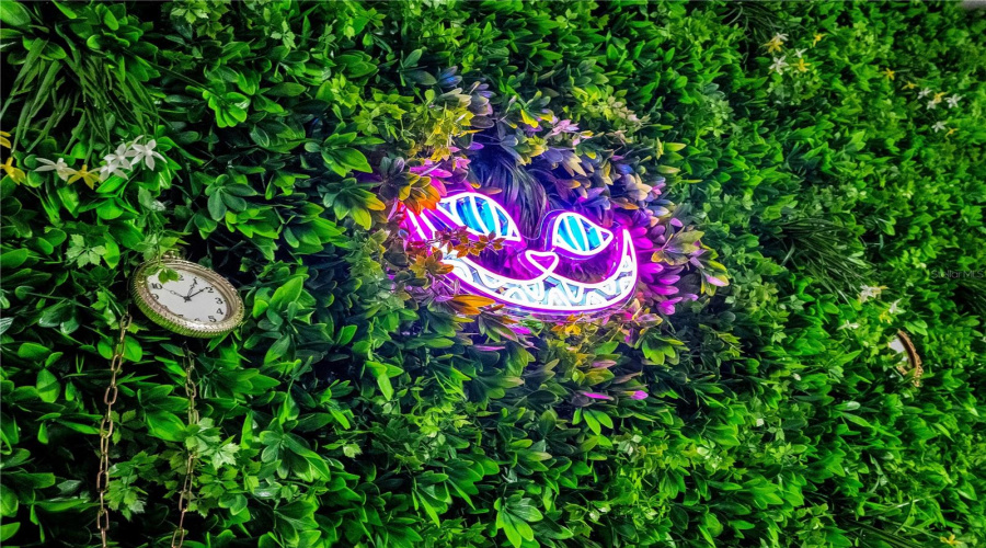 Even the smallest details continue the story, from the glowing Cheshire Cat hidden among the greenery to playful surprises waiting around every corner.