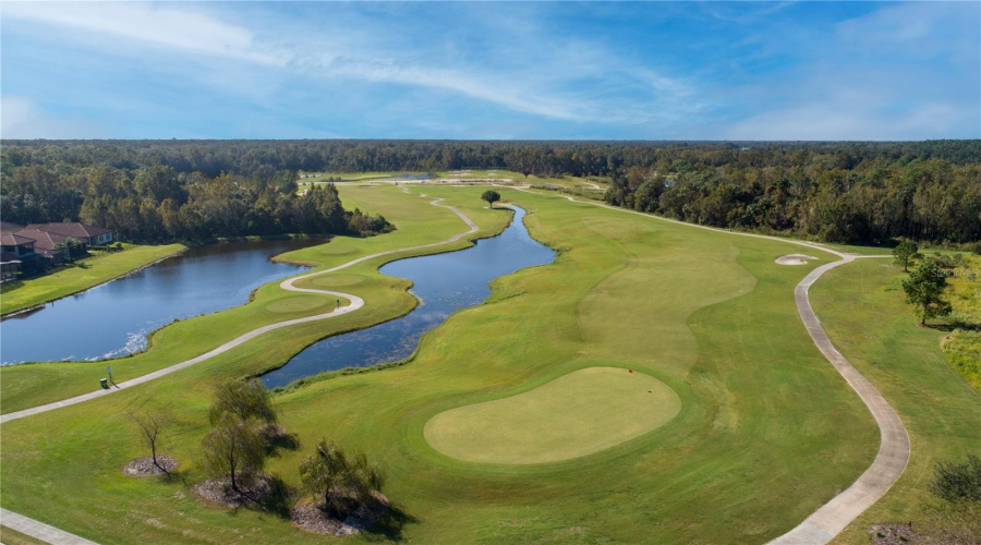 Michael Dasher designed Championship golf