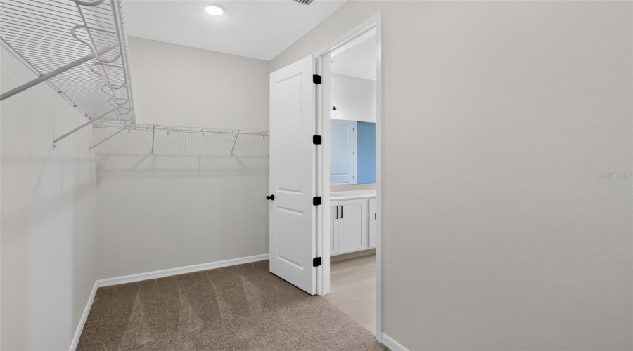 Primary Closet