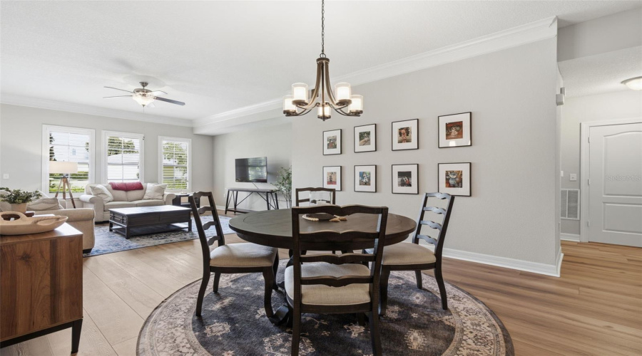 Dining Room to Living Room