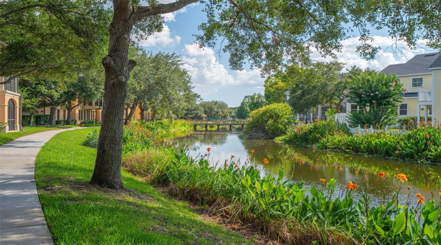 Rear Canal