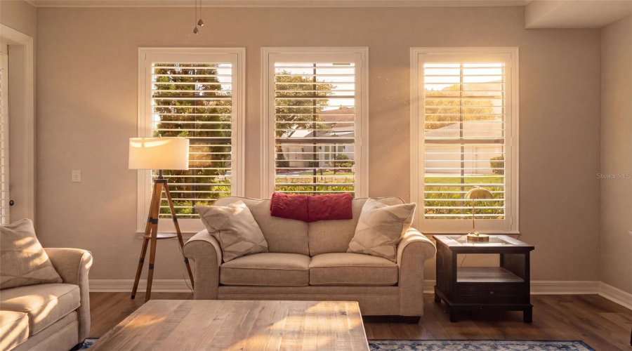 Living Room with Plantation shutters