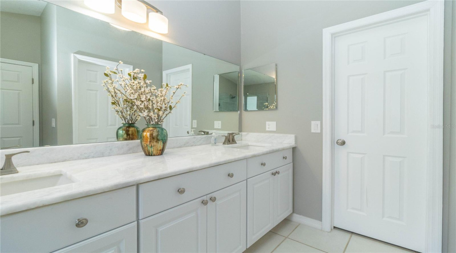 Granite countertop and dual vanity