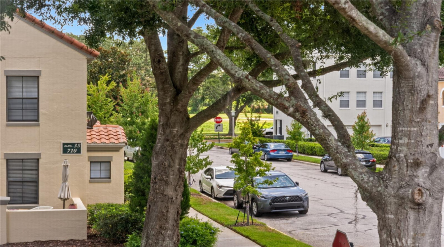 KISSIMMEE, Florida 34747, 2 Bedrooms Bedrooms, ,2 BathroomsBathrooms,Residential,For Sale,SIENA PALM,0,MFRS5152447