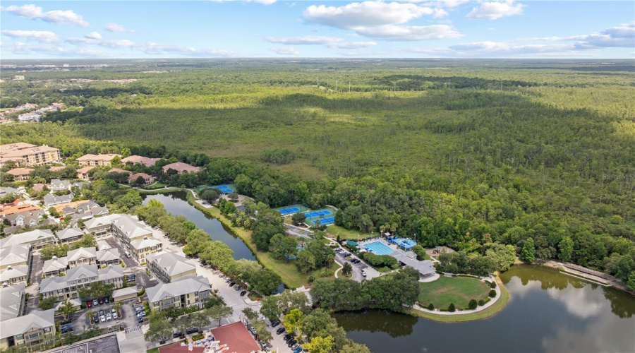 KISSIMMEE, Florida 34747, 2 Bedrooms Bedrooms, ,2 BathroomsBathrooms,Residential,For Sale,SIENA PALM,0,MFRS5152447